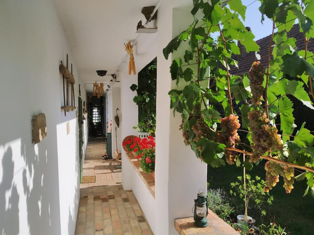 Égkőris Vendégház Bakonyszucs Esterno foto