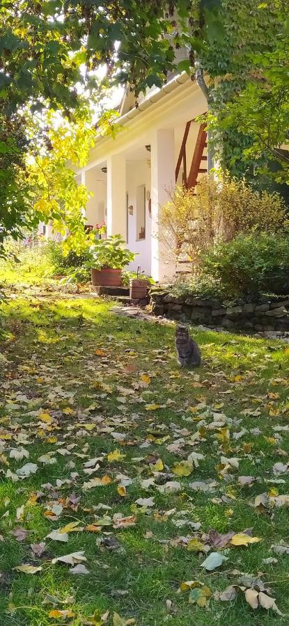 Égkőris Vendégház Bakonyszucs Esterno foto
